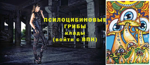 apvp Бородино