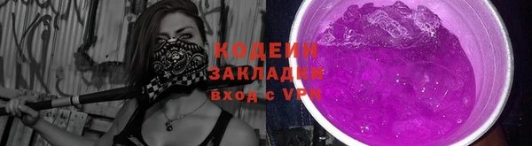 apvp Бородино