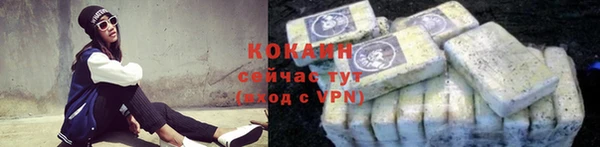 apvp Бородино