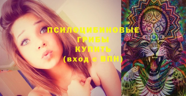 крисы Бугульма