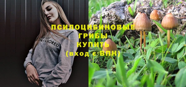 крисы Бугульма