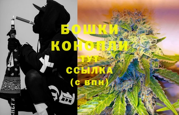 крисы Бугульма