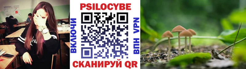 Псилоцибиновые грибы ЛСД  Купить  Артёмовский 